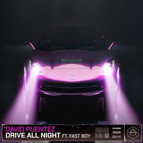 David Puentez - Drive All Night - Extended Mix [HEXAGON239B]